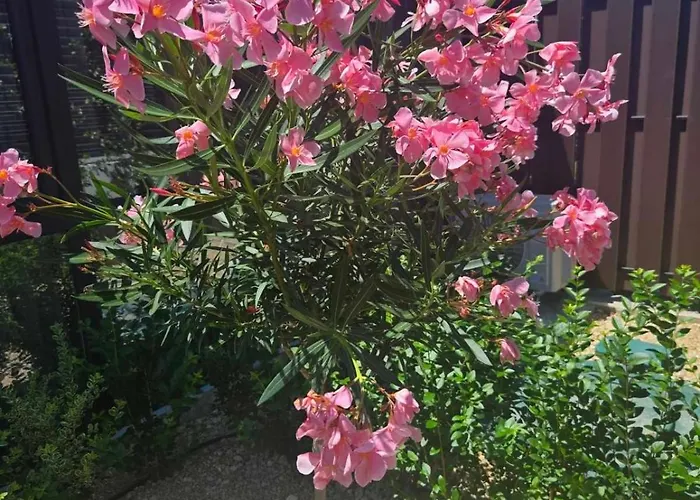 Villa Cadaques, Private Pool With Heating And Salt Water *