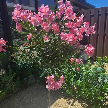 Vila Cadaques, Private Pool With Heating And Salt Water *